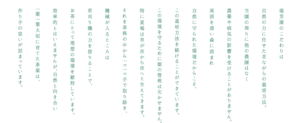 瑞芳園は無農薬、無化学肥料、自然にまかせて茶葉の育成をする有機栽培を長年続けています。難しい栽培方法を長年支えているのはその恵まれた茶園環境にあります。本園の周りには他の農家は見当たりません。お茶処ではない岐阜県の茶園は、全国的にみても極わずか。その中で有機栽培を行う茶園は限りなく少ない。他の農園からの農薬や病気の影響をうけない、自然に守られた環境だからこそ、もいだ新芽もそのまま口にすることができるのです。