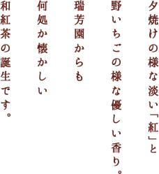 夕焼けの様な淡い「紅」と野いちごの様な優しい香り。瑞芳園からも何処か懐かしい和紅茶の誕生です。