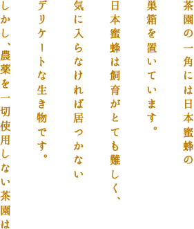 蜜蜂にとって理想の環境。四季折々の草花から蜜を蓄え、秋には茶蜜も集めてきます。さまざまな花の蜜を集めることで酵素がいっぱい含まれた瑞芳園だけの蜂蜜が味わえます。