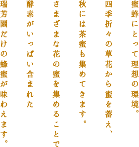 茶園の一角には日本蜜蜂の巣箱を置いています。日本蜜蜂は飼育がとても難しく、気に入らなければ居つかないデリケートな生き物です。しかし、農薬を一切使用しない茶園は